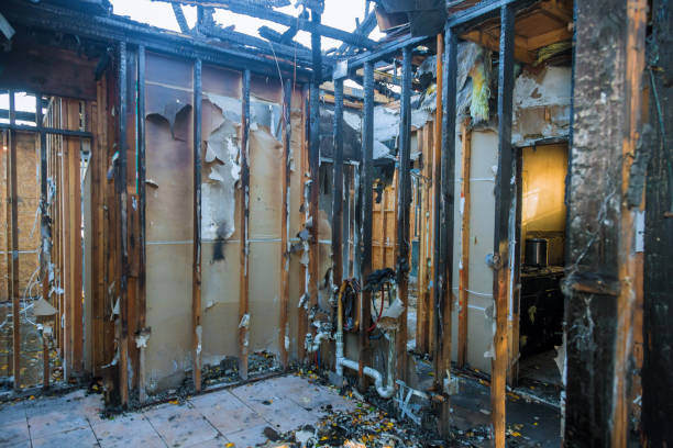 Professional Fire Damage Removal technician working in Richardson, TX